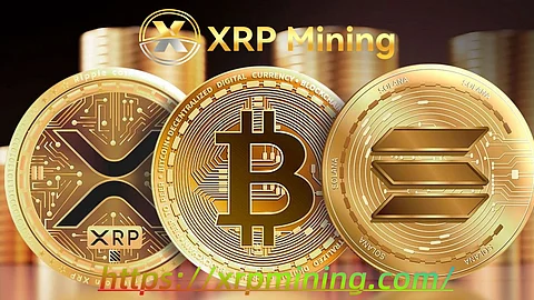 XRP Mining: The most trusted Bitcoin cloud mining platform in 2025, easily open the road to high-yield investment