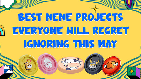 Best meme coins for long term investment
