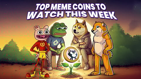 Top new meme coin to buy and hold for long term