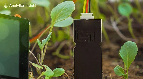 IoT Sensors: The Core of Modern Smart Technology Systems