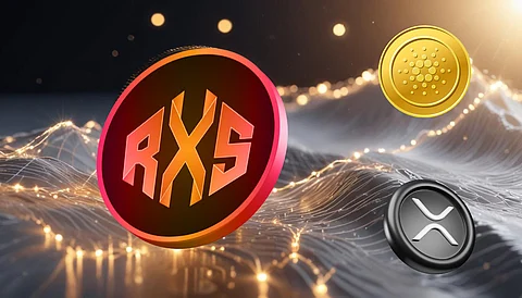 Rexas Finance
