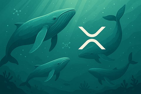 Remittix