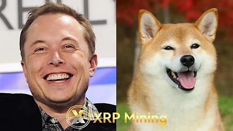 XRP Mining