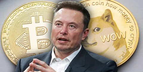 Musk’s Top 3 Crypto Picks Revealed, But Analysts Say These Top Crypto Presales to Buy Now For Higher Profit Potential