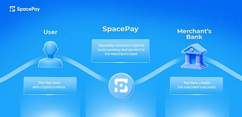 crypto wallet