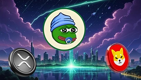 Shiba Inu Price Prediction: SHIB Won't Reach $0.0005 Even If it Hits XRP's ATH Market Cap, Here's the Best Meme Coin to Buy Instead