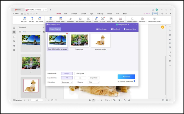 JPG to PDF Made Easy – Fast, Free & Reliable Method