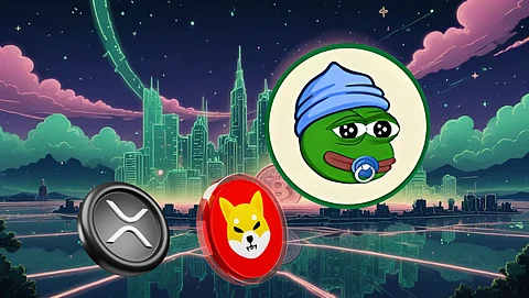 Top Crypto to Buy for 50x Gains in 2025: Ripple (XRP) vs Shiba Inu (SHIB) vs Little Pepe (LILPEPE)