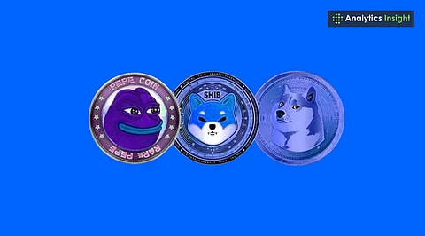 Are Meme Coins Just Hype or a Long-Term Investment Opportunity?