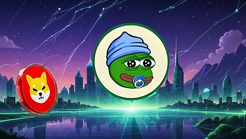 Little Pepe