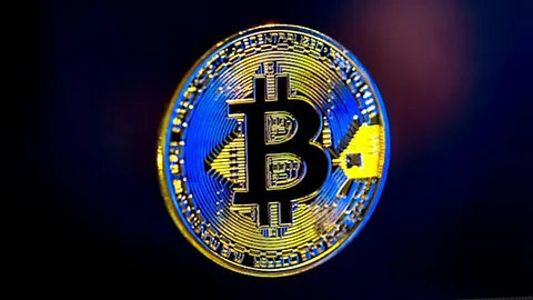 “Bitcoin in 2025: Trends, Trading Opportunities, and Arkham Intelligence Insights ”