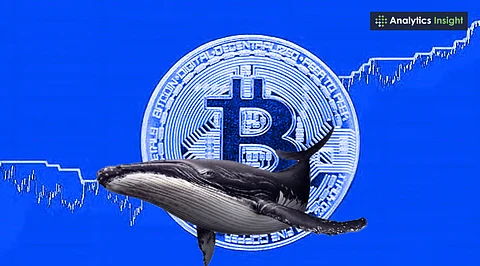 What Determines the Price of Bitcoin? It’s More Than Whales and Elon