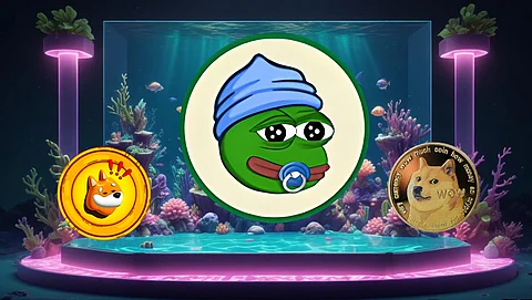 Bonk (BONK) and Dogecoin (DOGE) Are All Bark and No Bite. Trader Identifies the Best Meme Coin to Hold and Flip $710 into $71,000 in 2025
