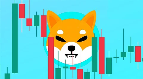 Analysts Question Shiba Inu Price Potential After Growing Trend Emerges Among Holders Buying Layer Brett