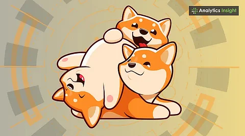 7 Meme Coins With Shiba Inu's Momentum to Watch in 2025