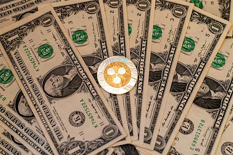 XRP Price Fever Grips the Market