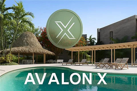 Avalon X