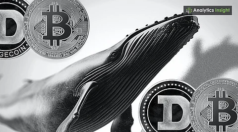How Whales Influence Meme Coins in the Market?