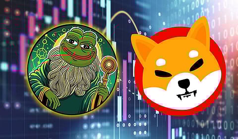 Shiba Once Made Millionaires, Can This Meme Coin Do It Next, in The Next Coming Crypto Bull Run?