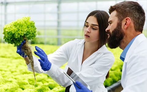 Reshaping the Future of Food: Agthia Group’s Role in Advancing AgriTech and Food Innovation