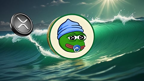 Little Pepe