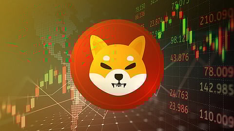 Shiba Inu