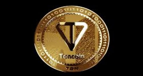 BullZilla, Toncoin, and Hedera are 100x Meme Coins and Blockchain Titans Reshaping 2025 Investments