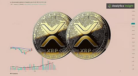 Top XRP Ledger Ecosystem Coins by Market Cap in 2025