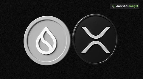 XRP and SUI Compared