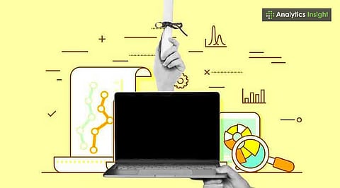 Data Analyst