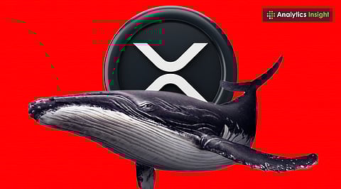 XRP Set for Big Move? Whale Buying Signals Possible $4.20 Rally