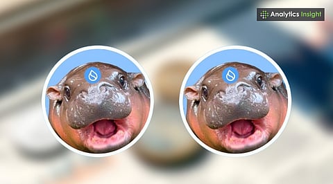 Best Memecoin to Buy in October