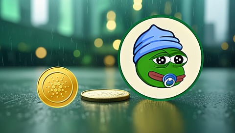 Little Pepe