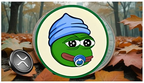 2 Meme Coins