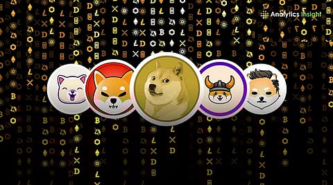 Should You Invest in Meme Coins for the Long Term?