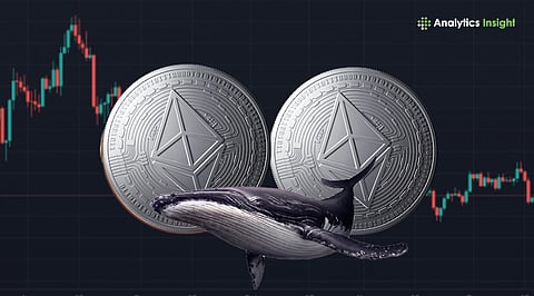 Ethereum ICO Whales Move Billions After Years of Silence