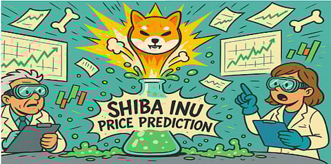 SHIB Whales Wake Up: $200M in New Accumulation Signals a Massive 2025 Price Run Incoming