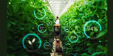 Data Analytics in Modern Farming