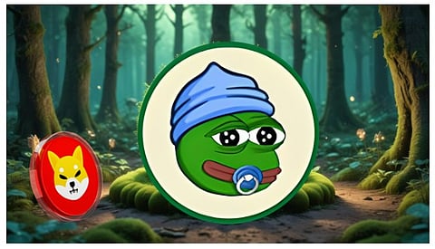 Shiba Inu’s 88% Crash