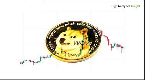 How Low Can Dogecoin Fall in 2025 as Holders Sell?