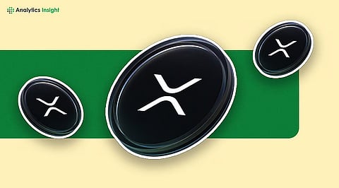 XRP Investors Beware