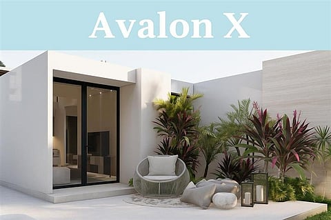 Avalon X