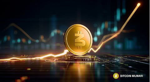 Automated Growth Platform: Bitcoin Munari's Protocol Generates Value While Investors Hold