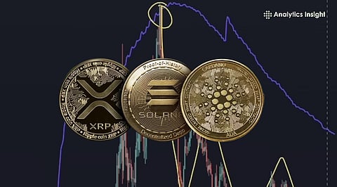 Is Crypto Bottoming Out or is Altcoin Season Still on Hold?