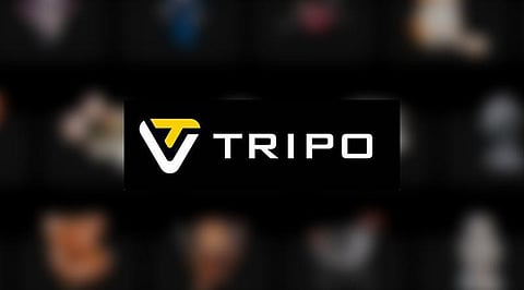 Tripo Studio