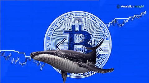 Bitcoin News Today_ Bitcoin Whale Inflows Hit $7.5B as Binance Activity Surges.jpg