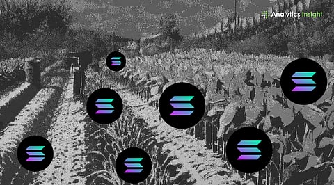 Best Solana Yield Opportunities to Explore Now