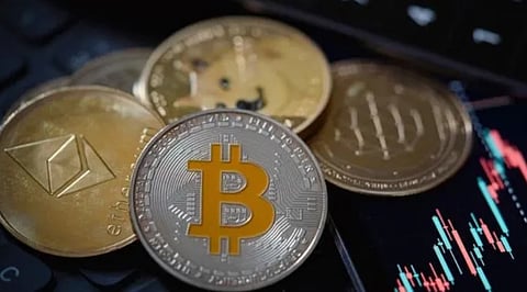 Crypto Market Report November 2025