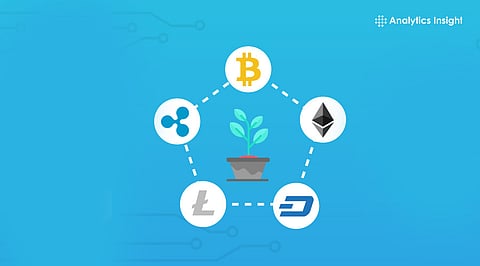 How to Start Investing in Cryptocurrency Safely in 2026