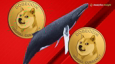 Will Dogecoin Bounce Back